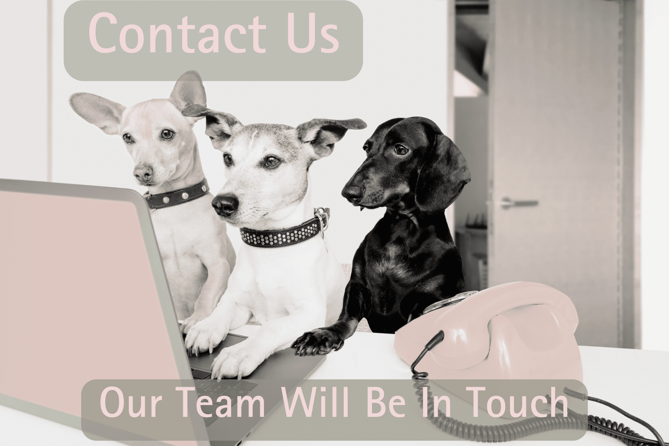 Contact Us