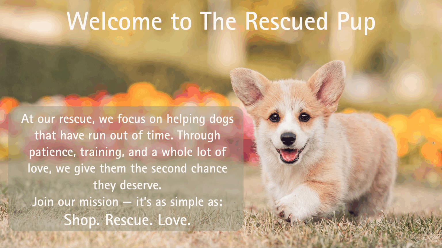 The Rescued Pup Homepage Mission Statement